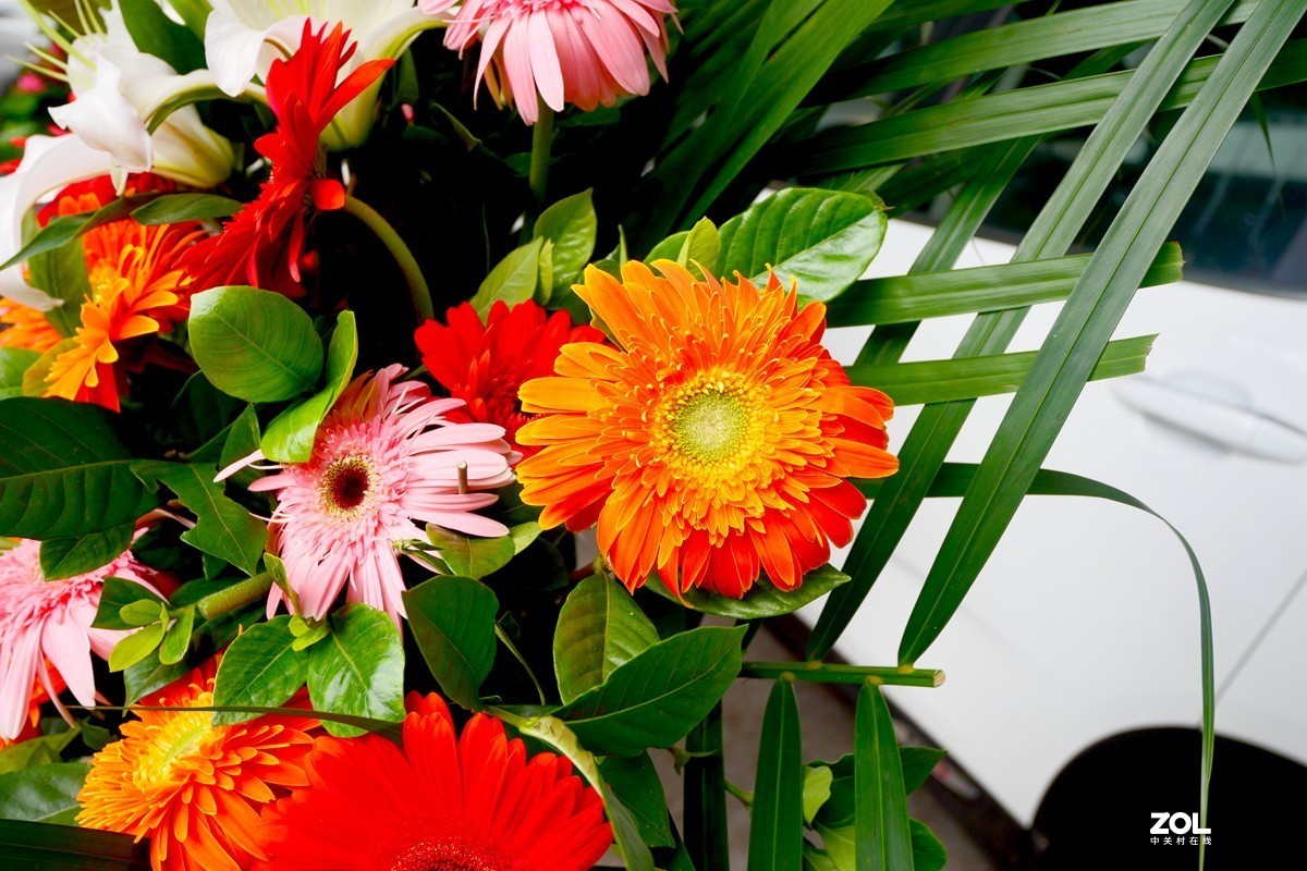 G100K套机 便携随拍  色彩浓郁