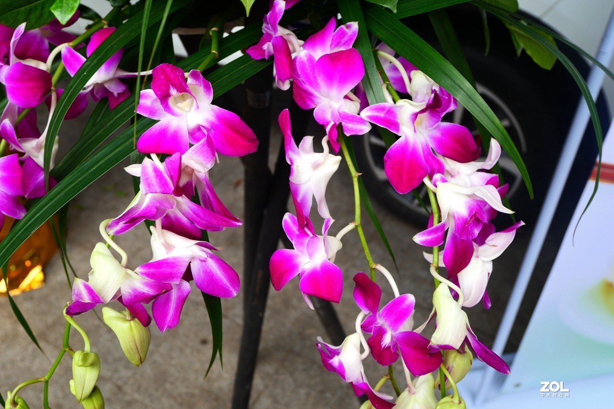 G100K套机 便携随拍  色彩浓郁