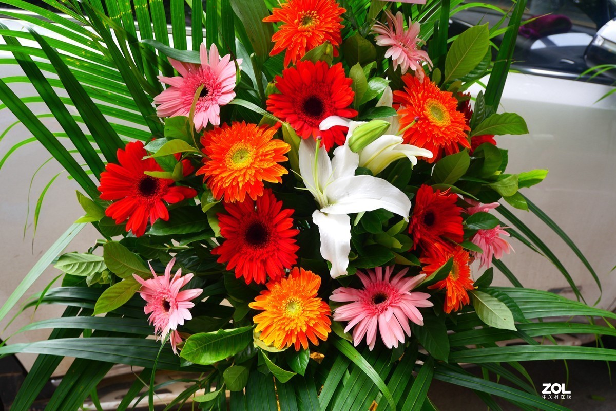 G100K套机 便携随拍  色彩浓郁