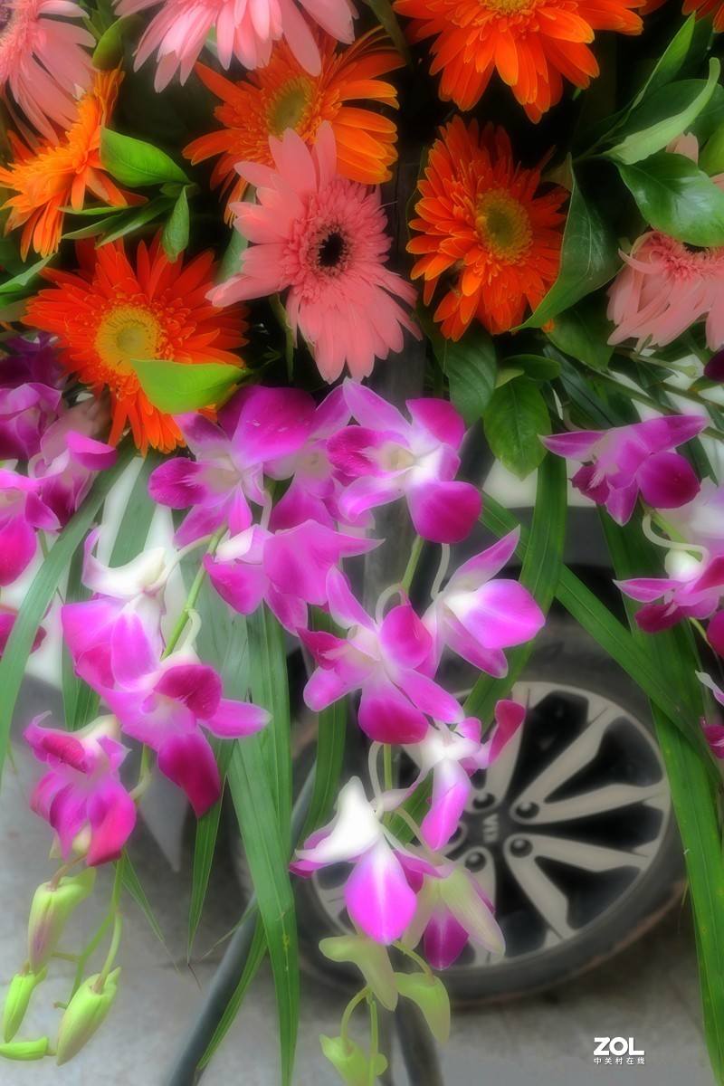 G100K套机 便携随拍  色彩浓郁