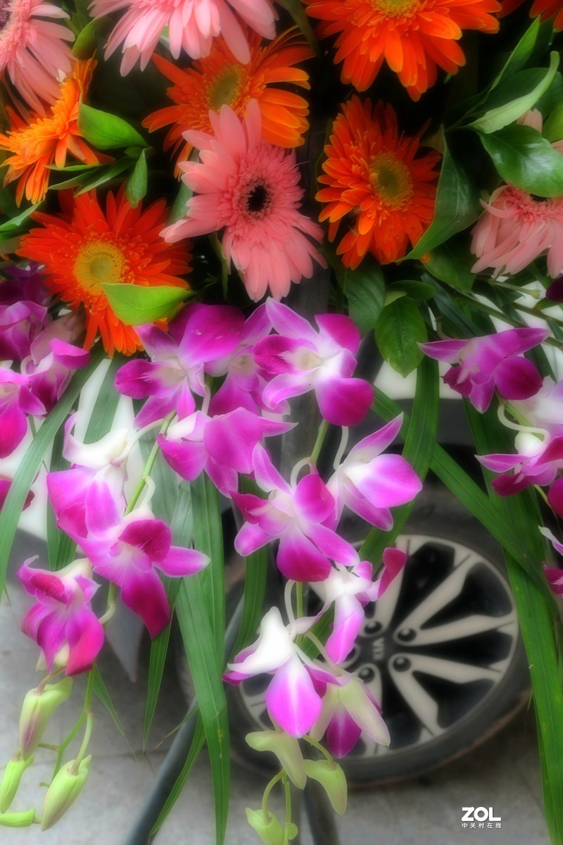 G100K套机 便携随拍  色彩浓郁