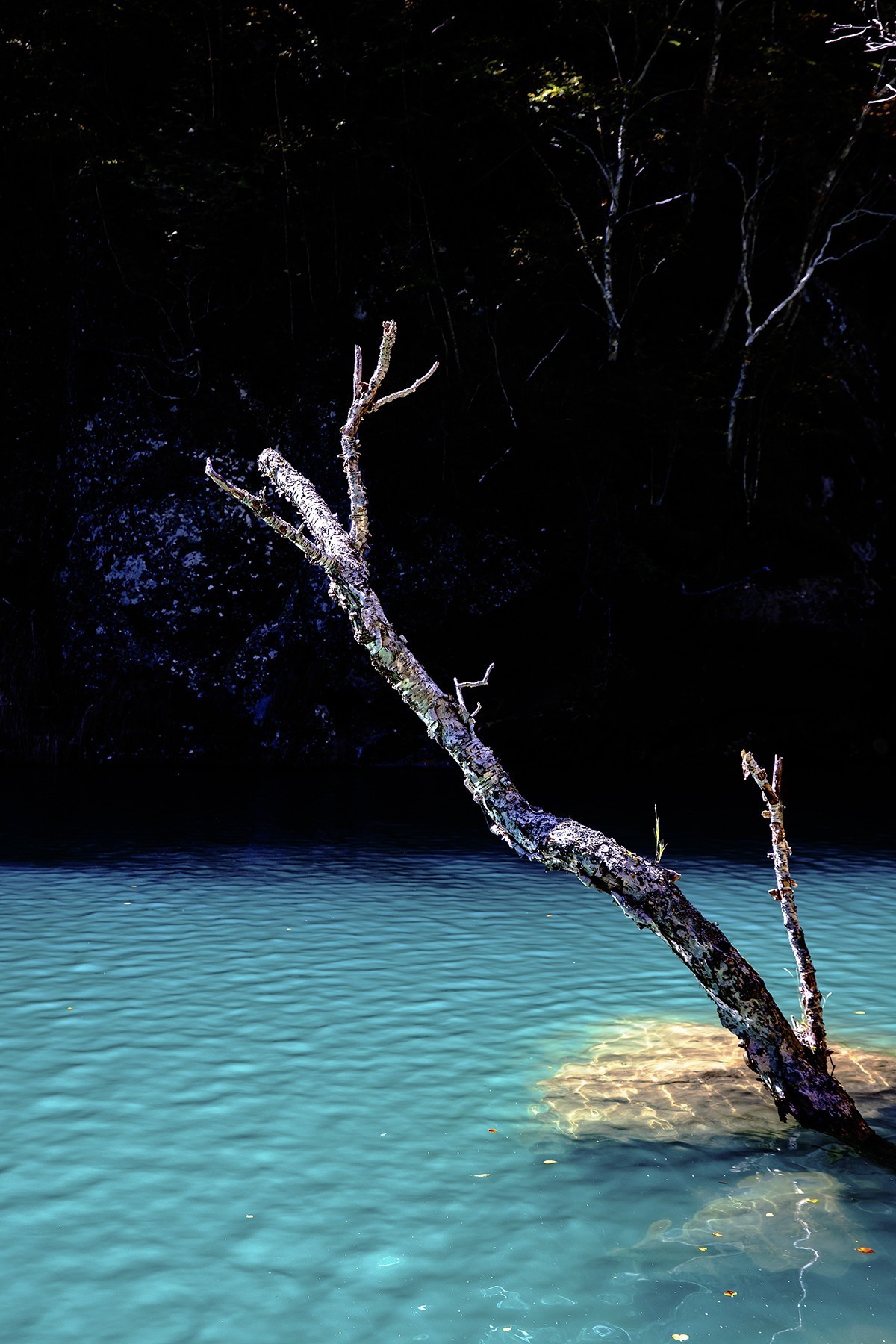旅游记录：吉林延边 · 长白山