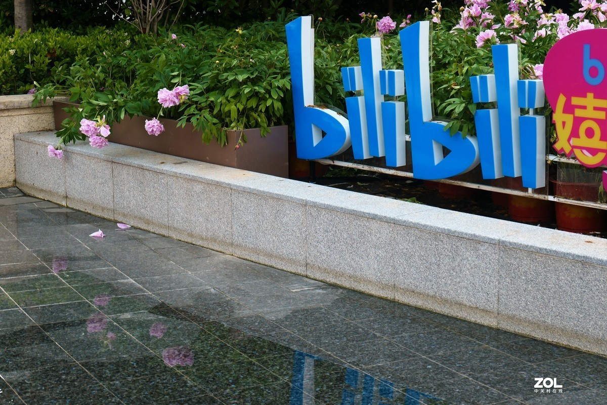 【2021花漾徐家汇】——摄于上海徐家汇