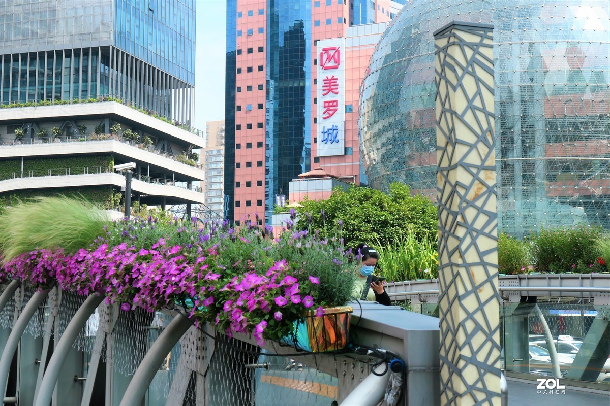 【2021花漾徐家汇】——摄于上海徐家汇