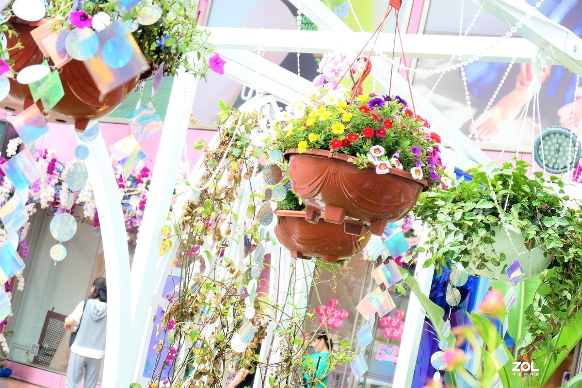 【2021花漾徐家汇】——摄于上海徐家汇