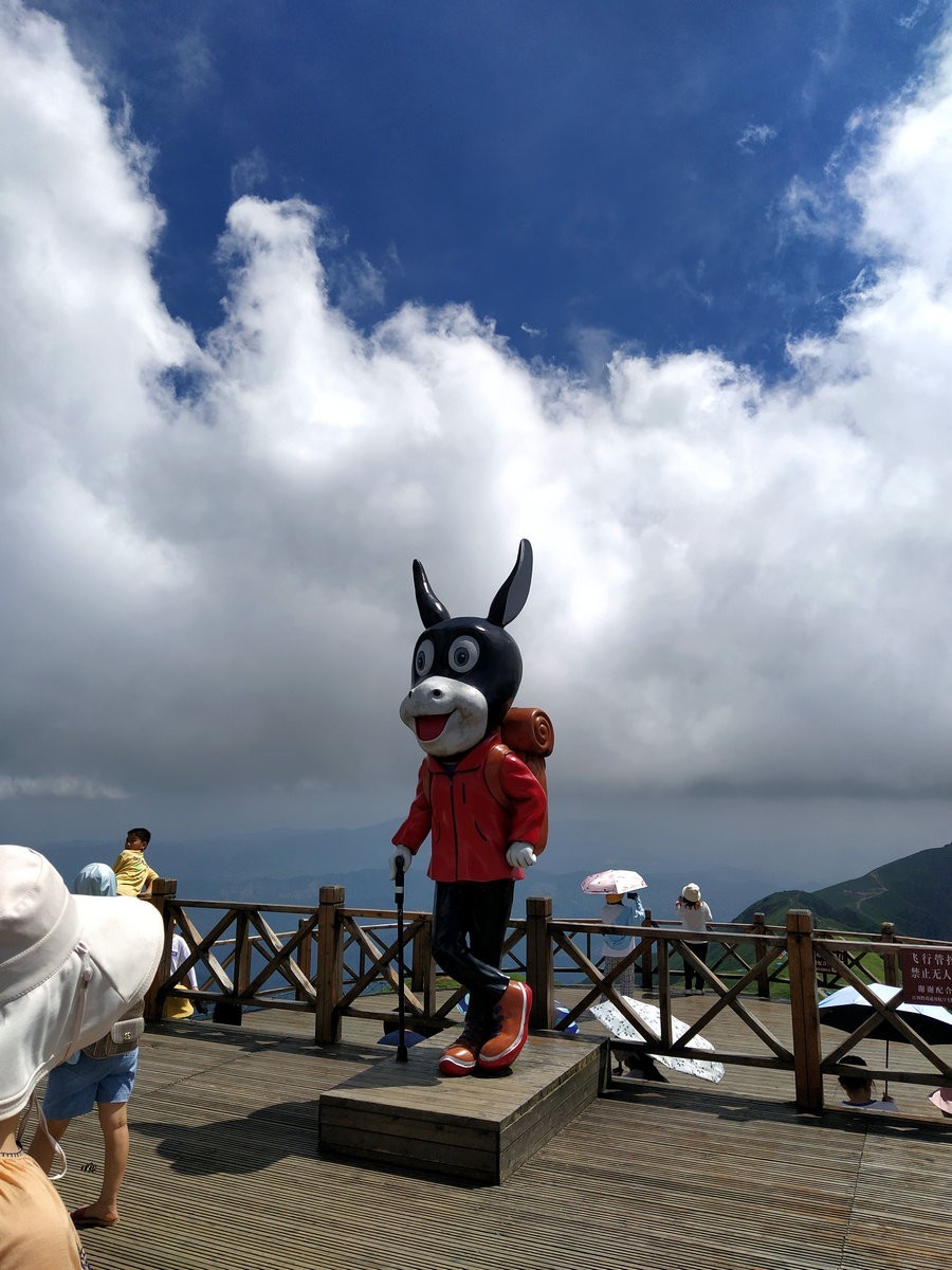 2021夏 渝川赣（50）走近武功山帐篷节