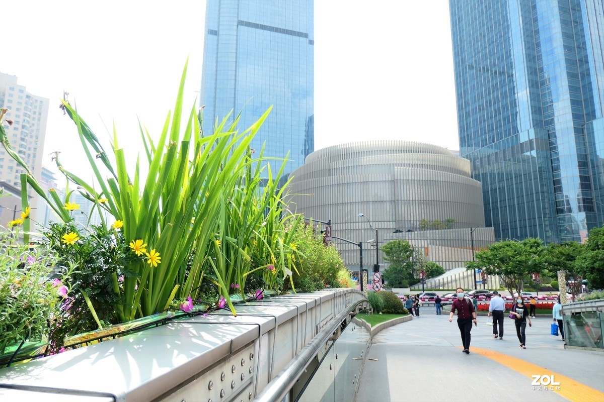 【2021花漾徐家汇】——摄于上海徐家汇