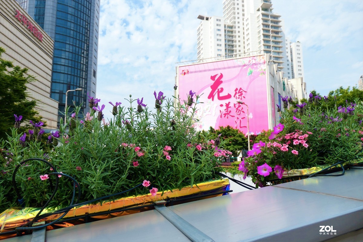 【2021花漾徐家汇】——摄于上海徐家汇