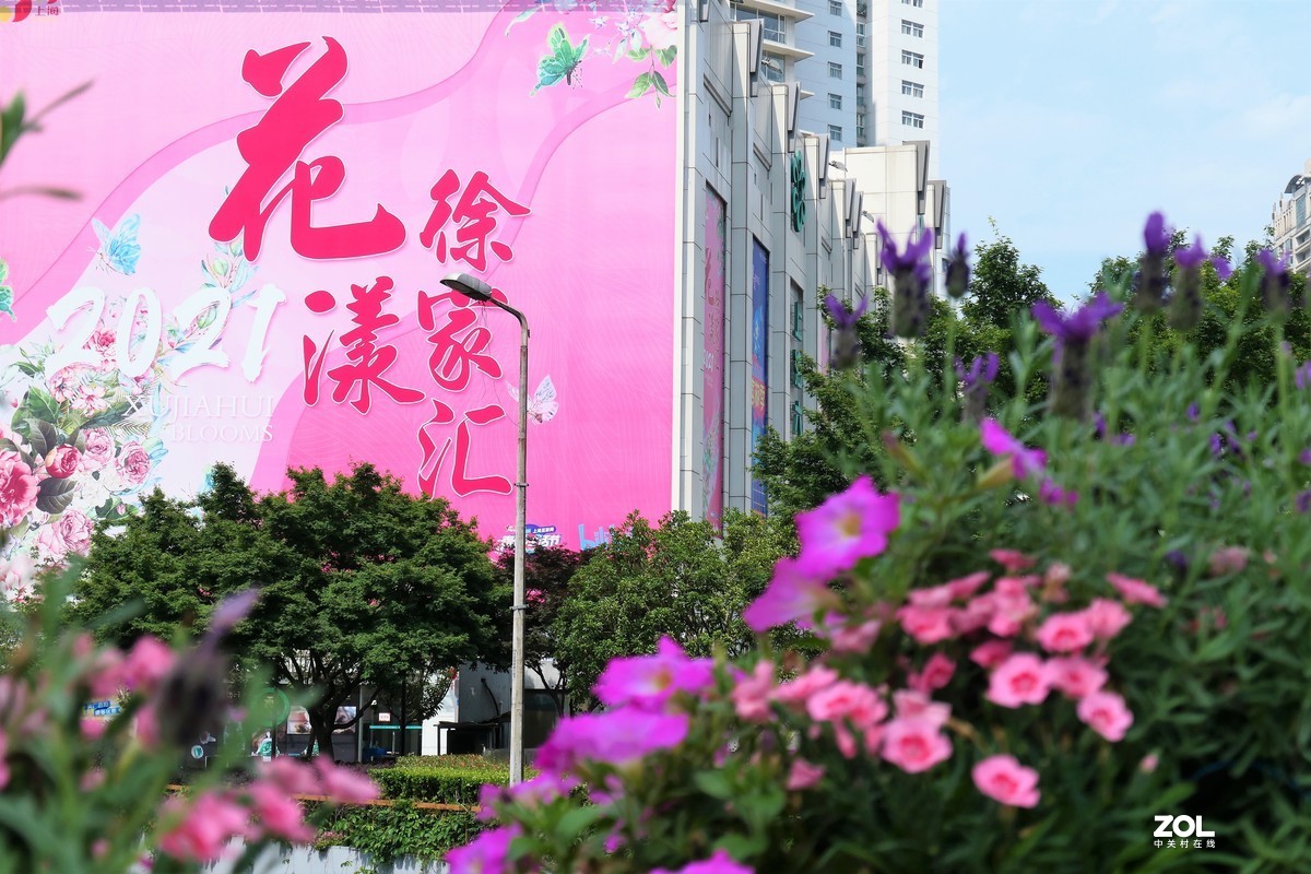 【2021花漾徐家汇】——摄于上海徐家汇