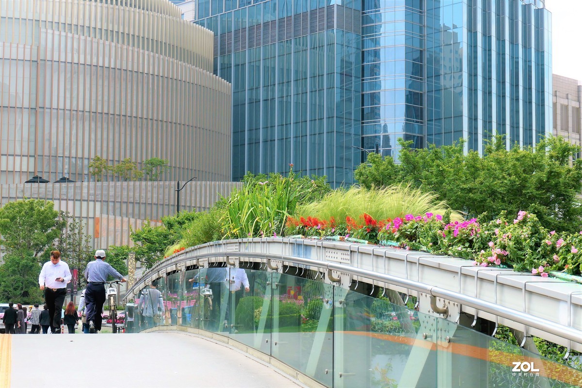 【2021花漾徐家汇】——摄于上海徐家汇