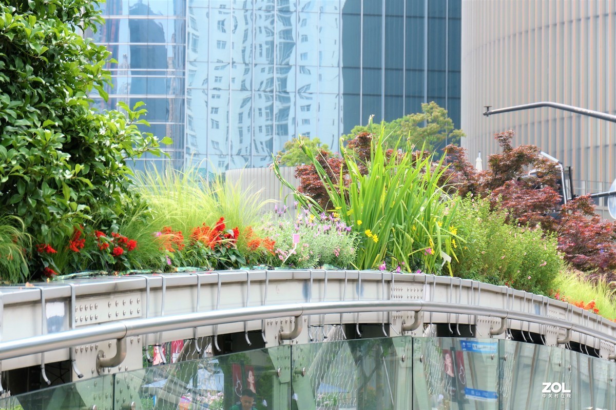 【2021花漾徐家汇】——摄于上海徐家汇