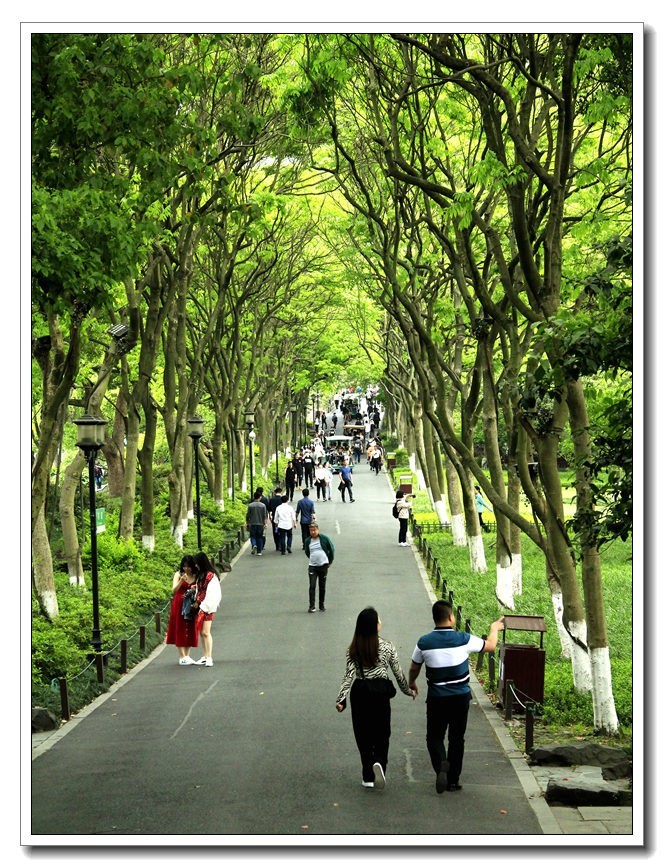 下江南--杭州--西湖【3】