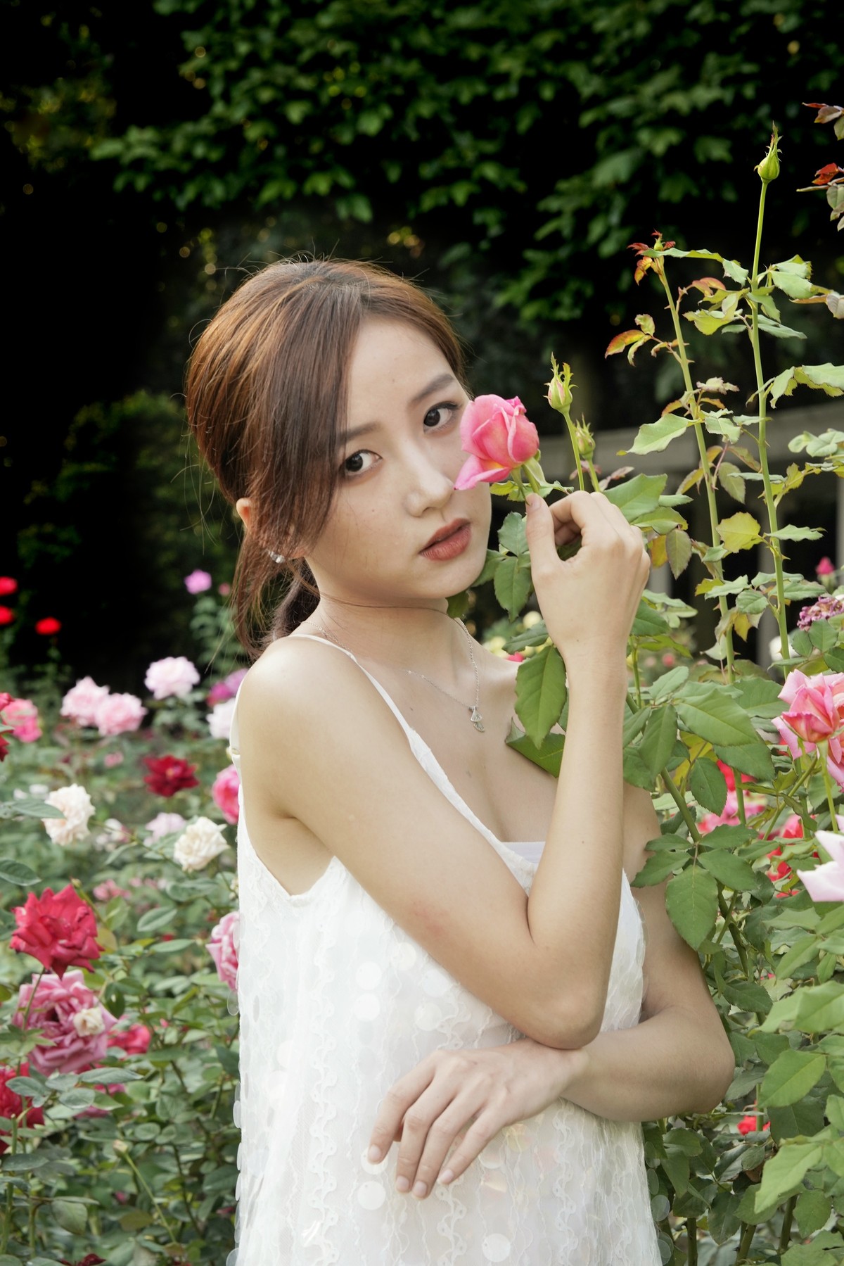 云台公园秋拍——苏苏