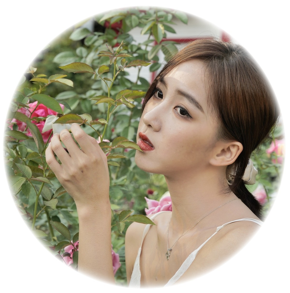 云台公园秋拍——苏苏