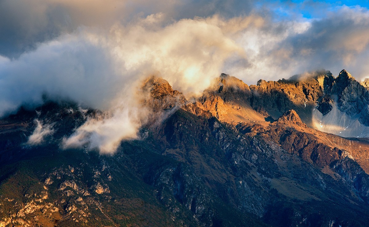 几张比较满意的凤光片