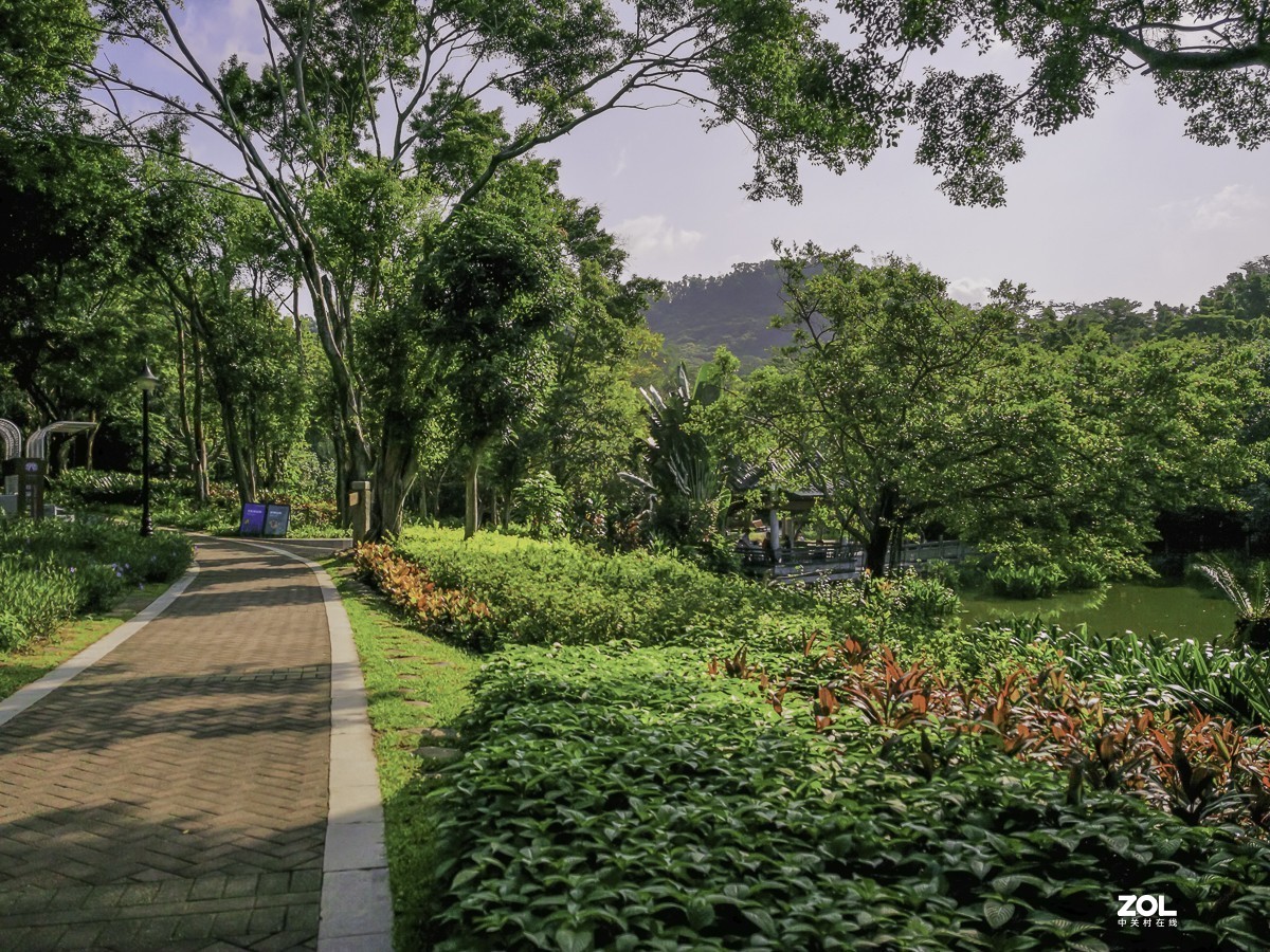 深圳筆架山公園 ~ 掠影