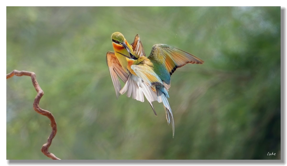 八字不合，一见就掐。