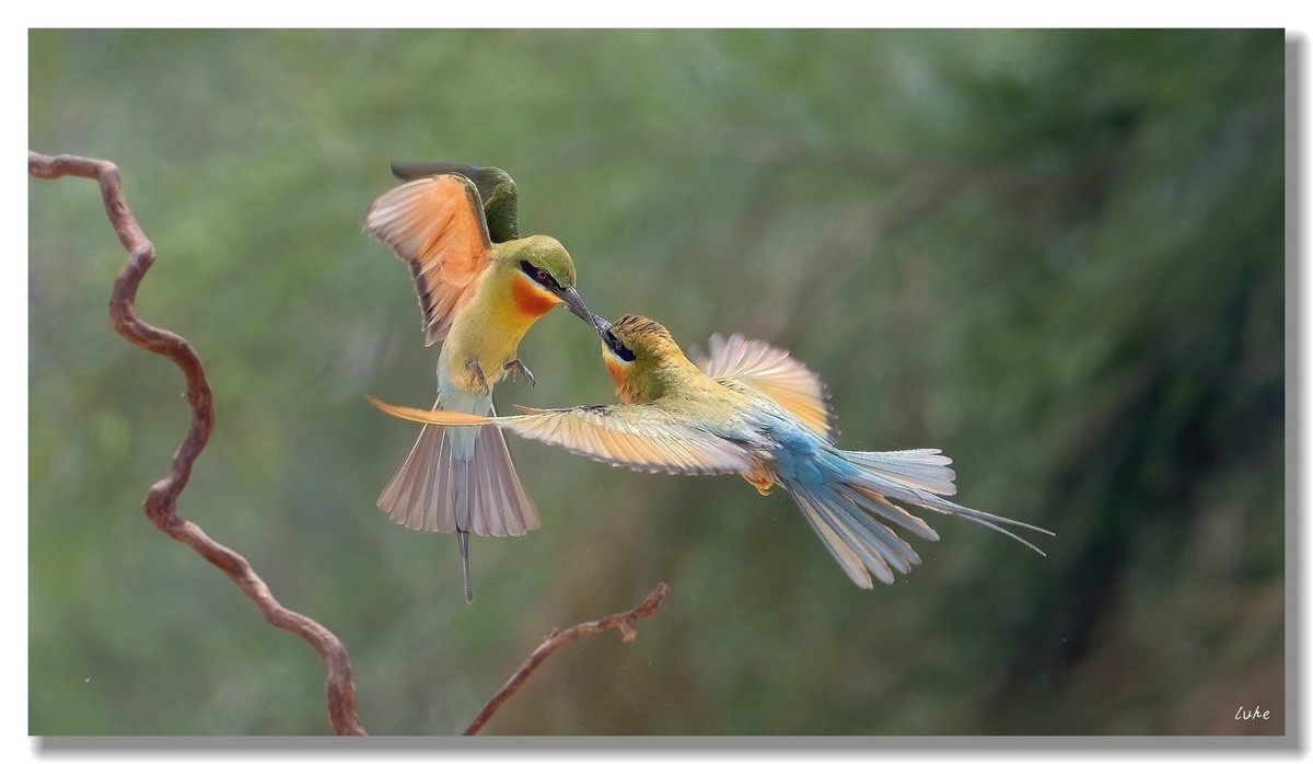 八字不合，一见就掐。