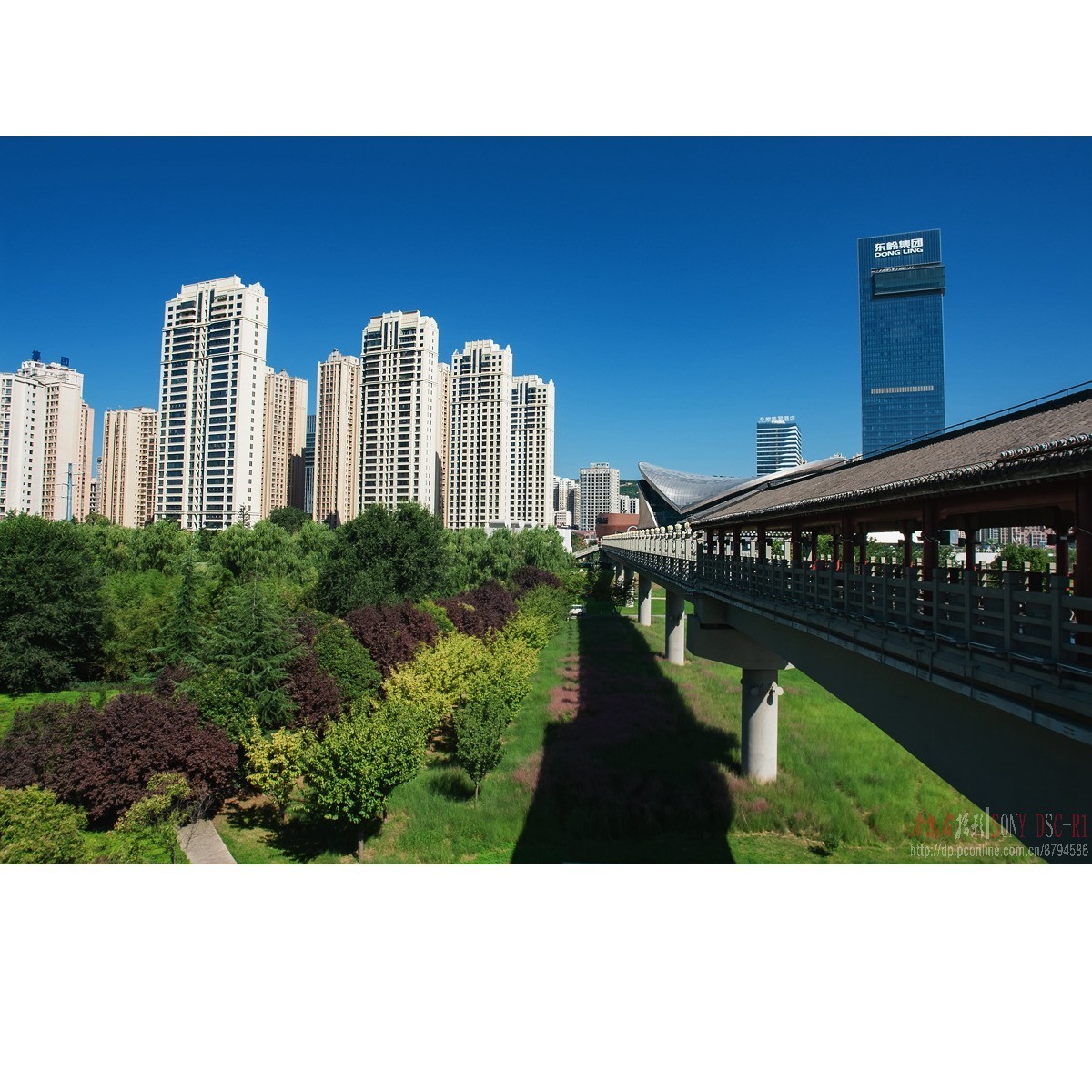 城市地标  秋