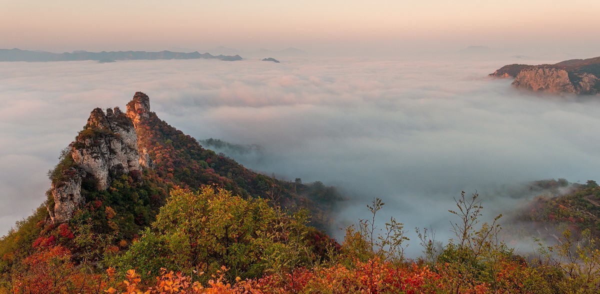 几张比较满意的凤光片