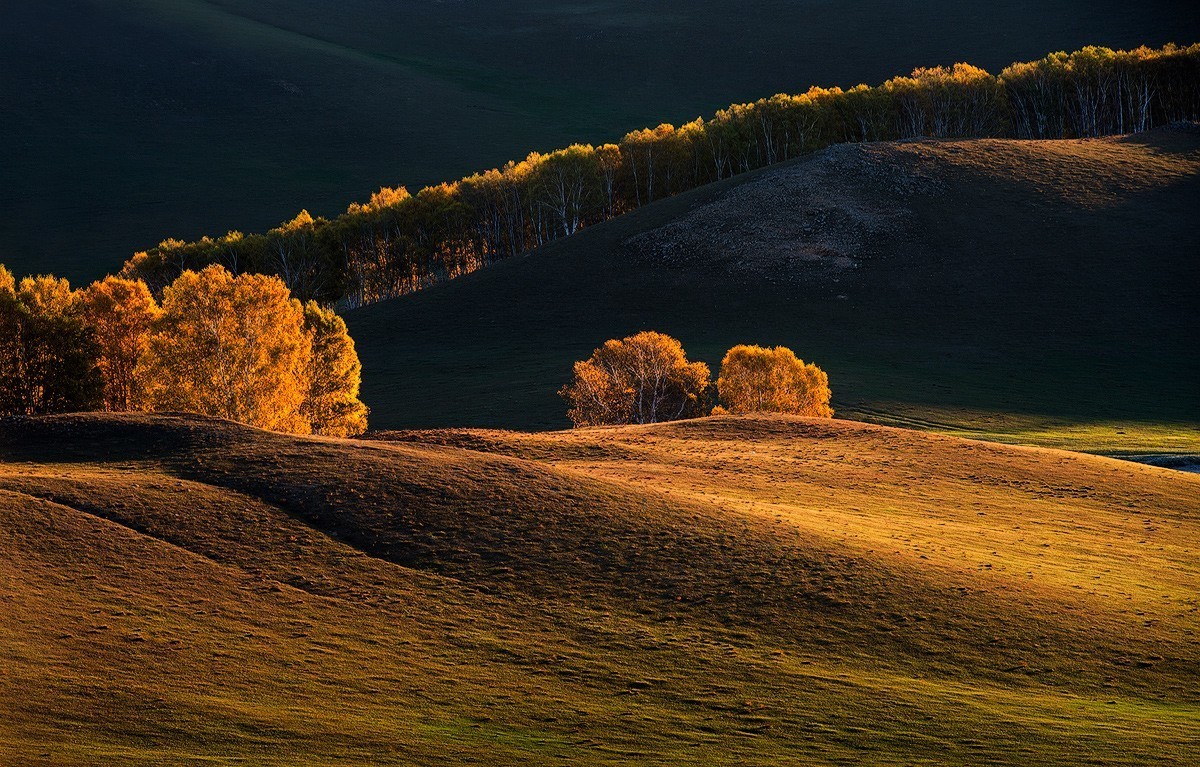 几张比较满意的凤光片