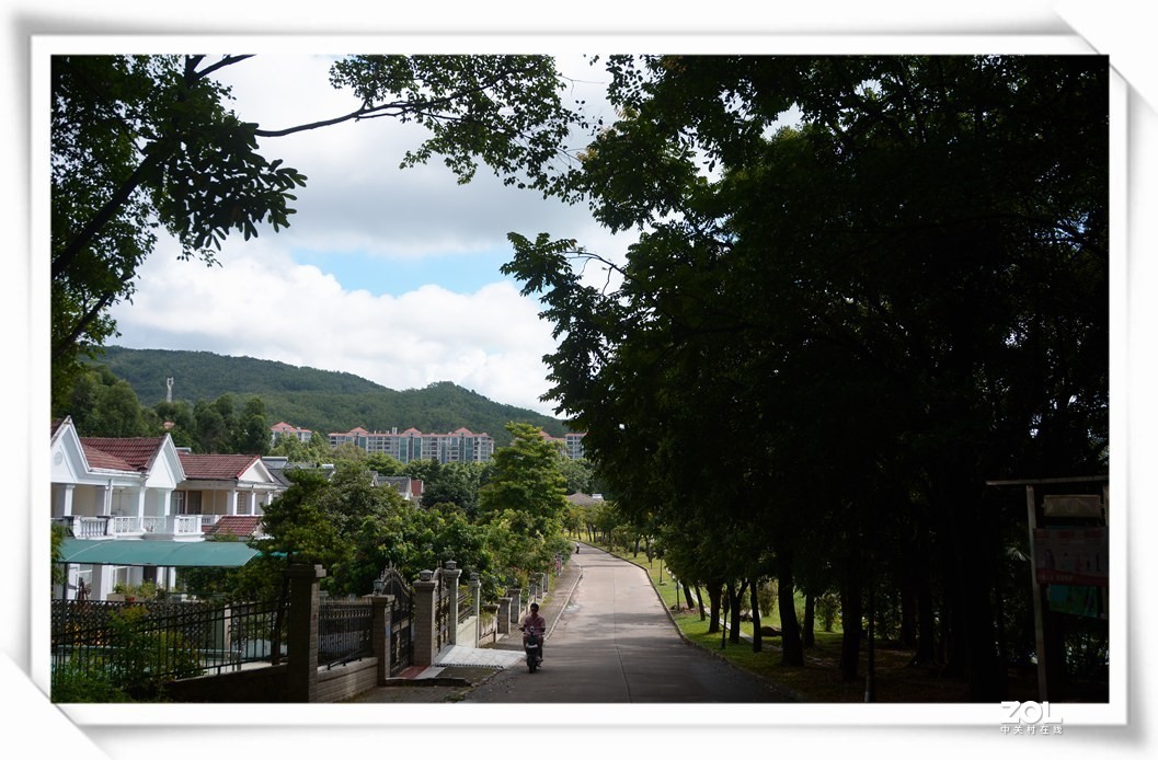 二手D7100+二手18-200VR一代 试拍