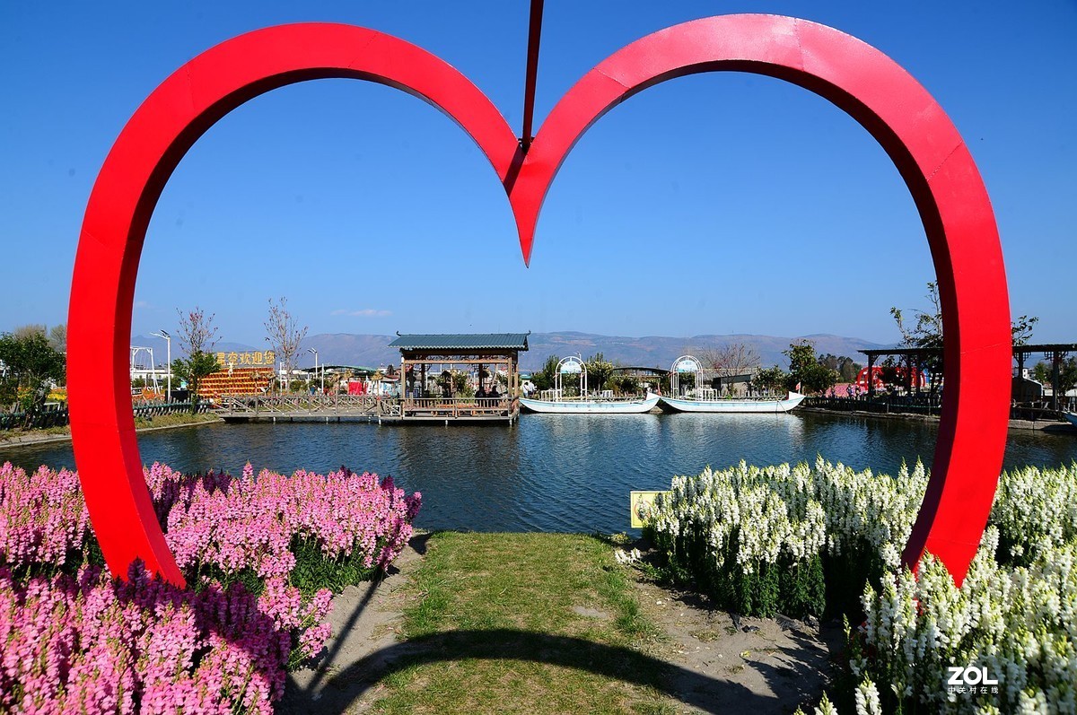 云南游记大理花田掠影