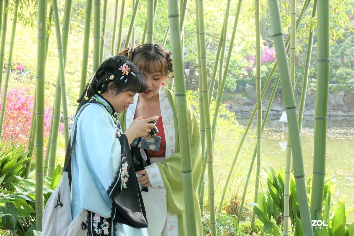 【竹林少女】——摄于上海桂林公园