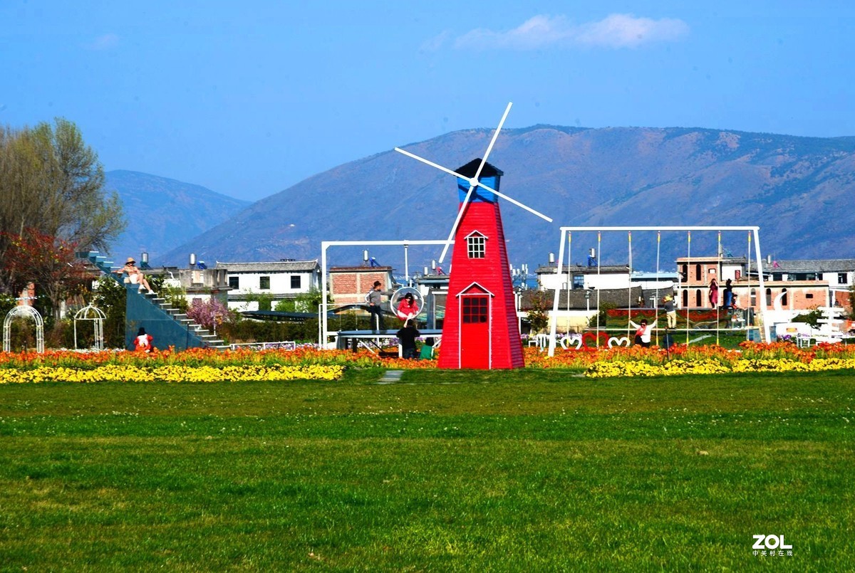 云南游记大理花田掠影