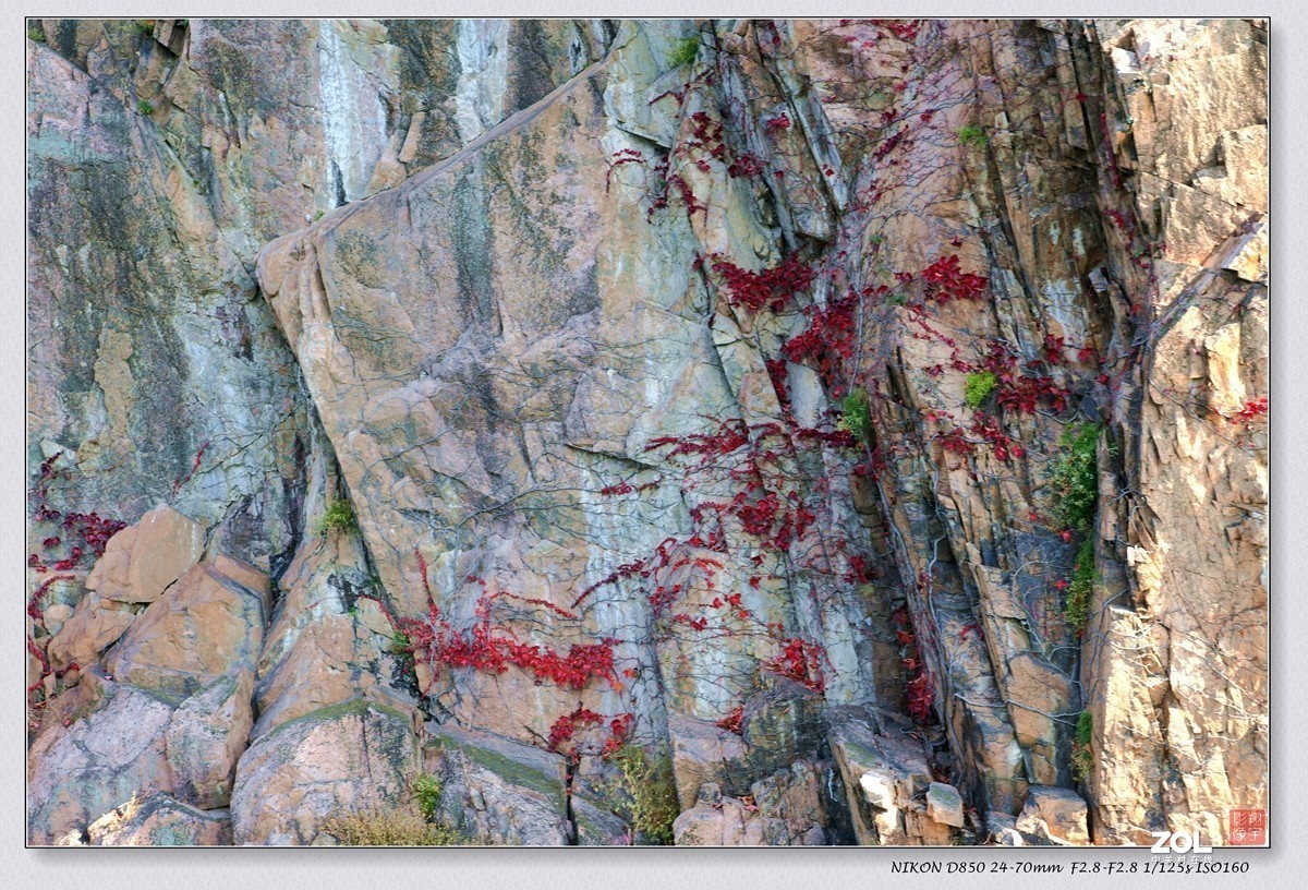 一江秋色入画屏