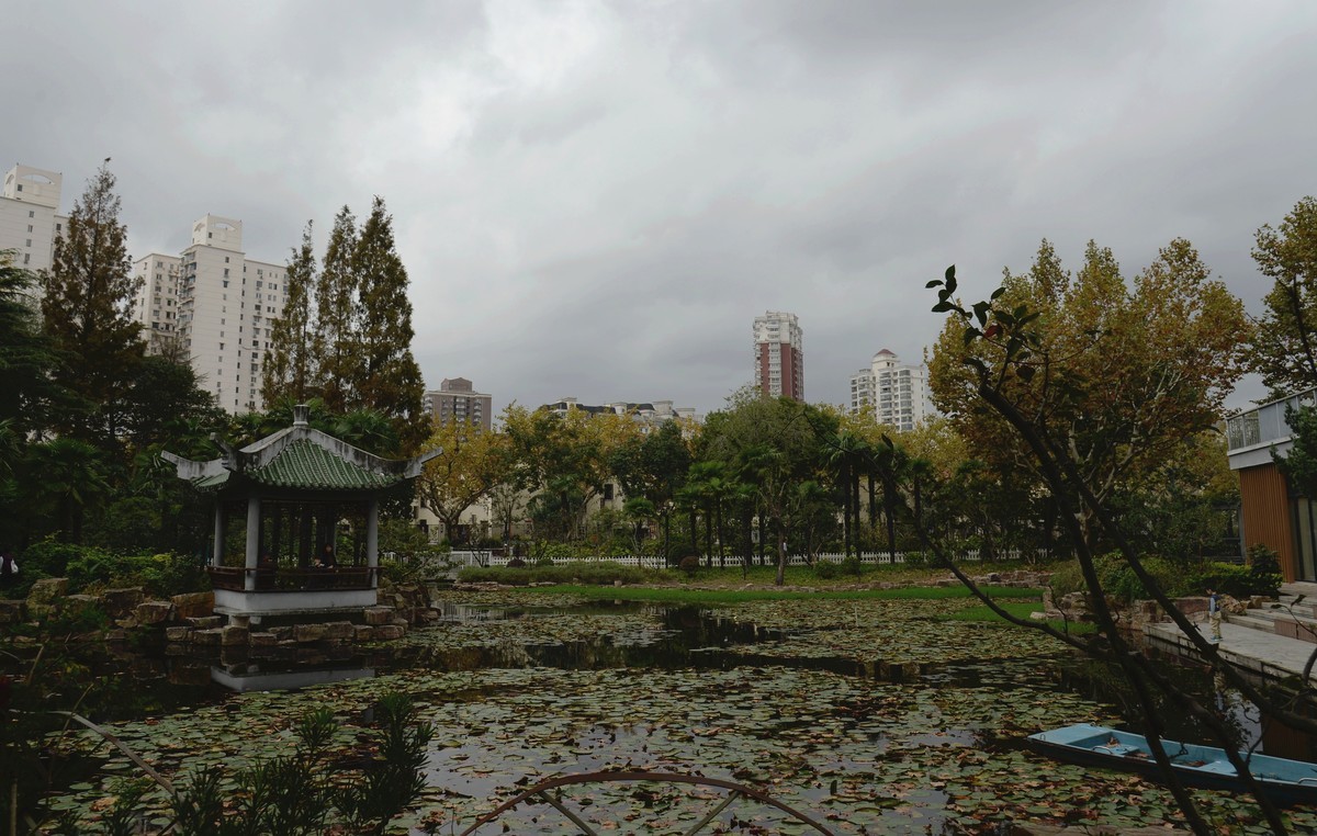 西风夜雨送残秋