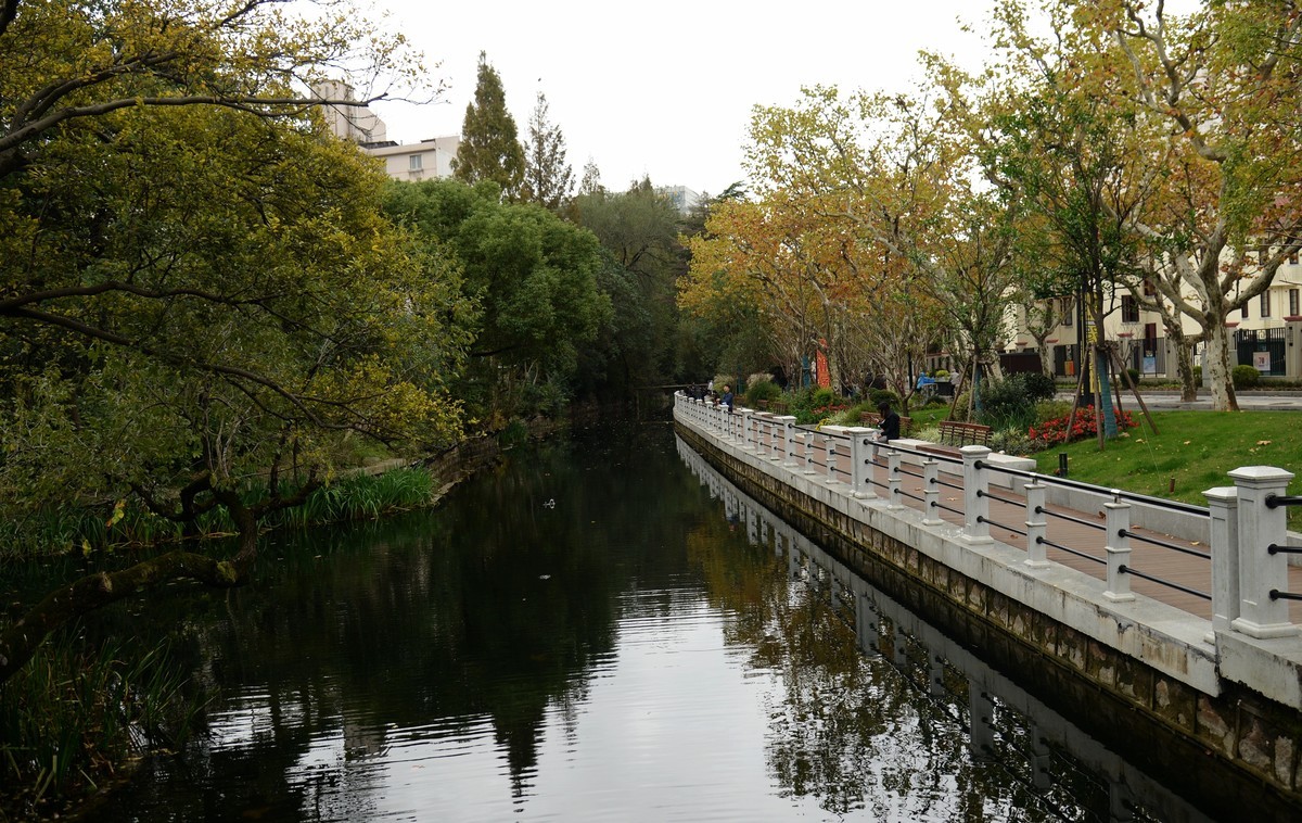 西风夜雨送残秋