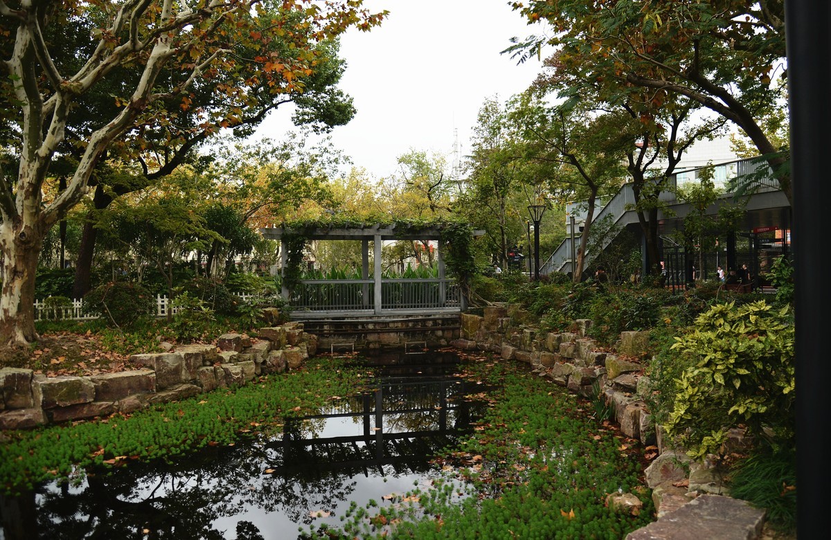 西风夜雨送残秋