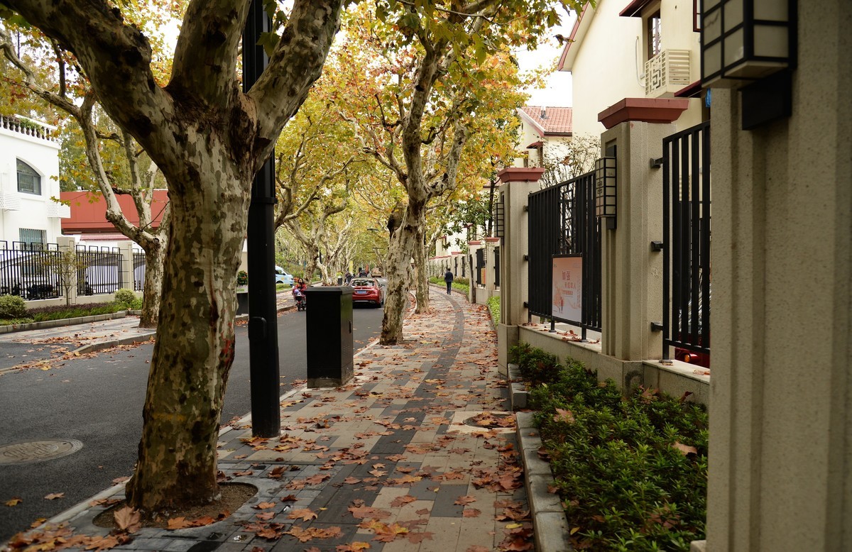 西风夜雨送残秋