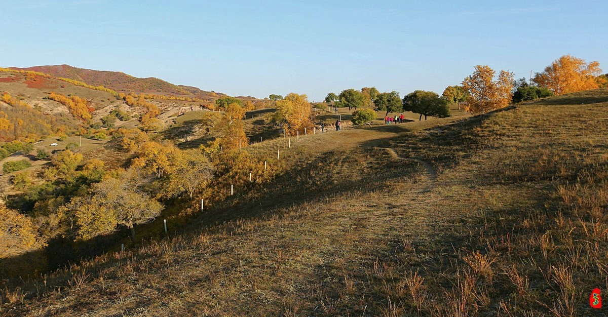 内蒙乌兰布统坝上天泰永和谷（一）