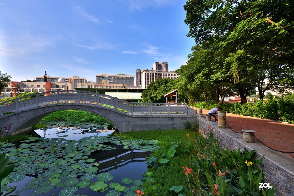 廣西大學校園人工湖掠影4