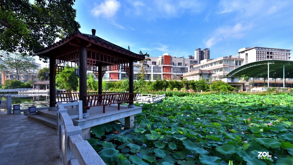 广西大学校园人工湖掠影4