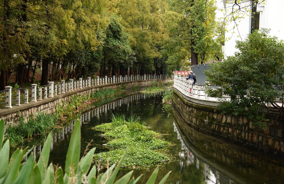 西风夜雨送残秋