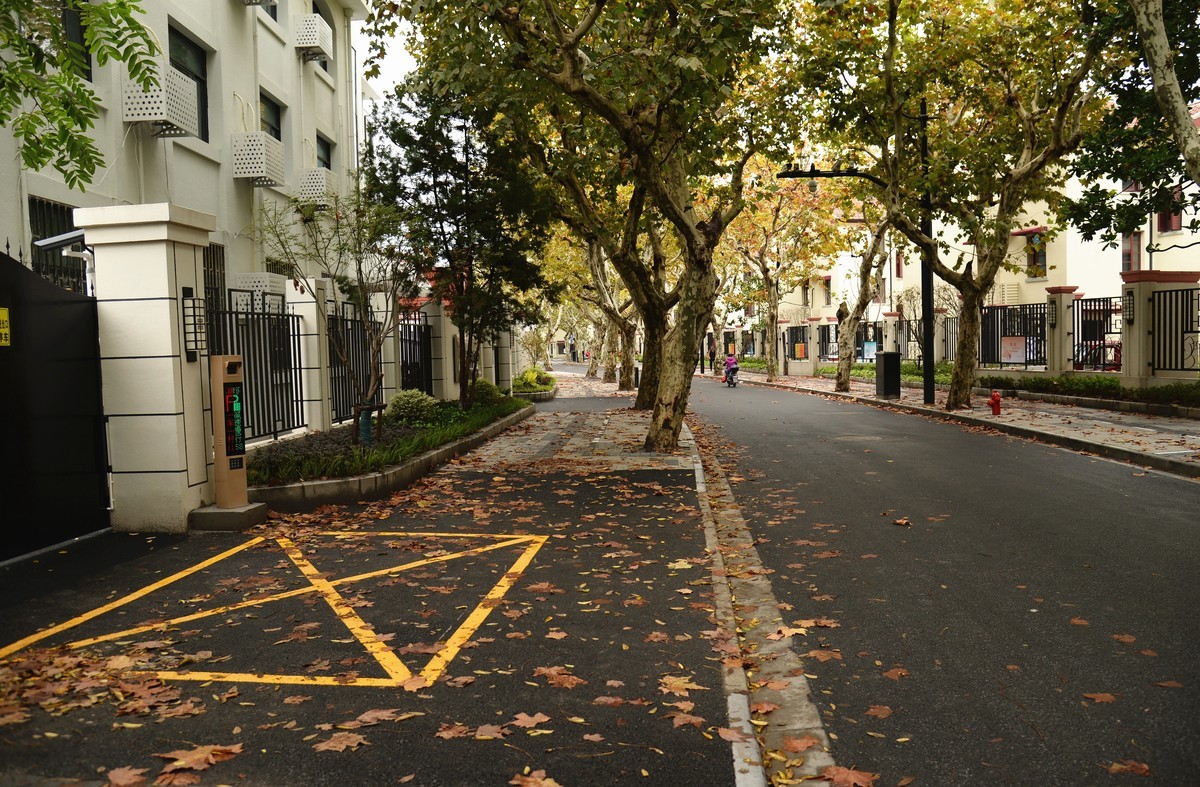 西风夜雨送残秋