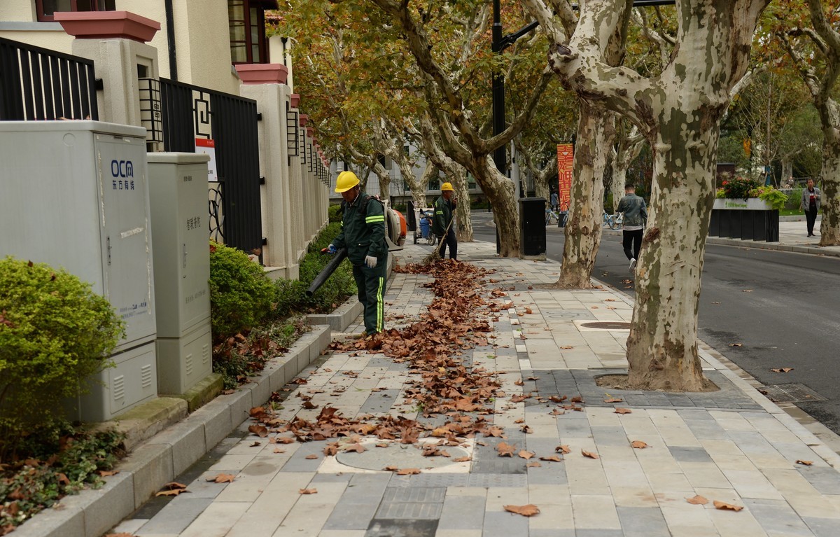 西风夜雨送残秋