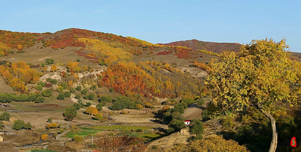 内蒙乌兰布统坝上天泰永和谷（一）