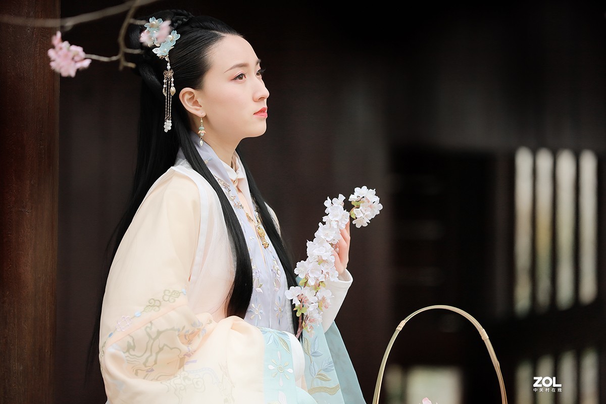 樱花美女之三