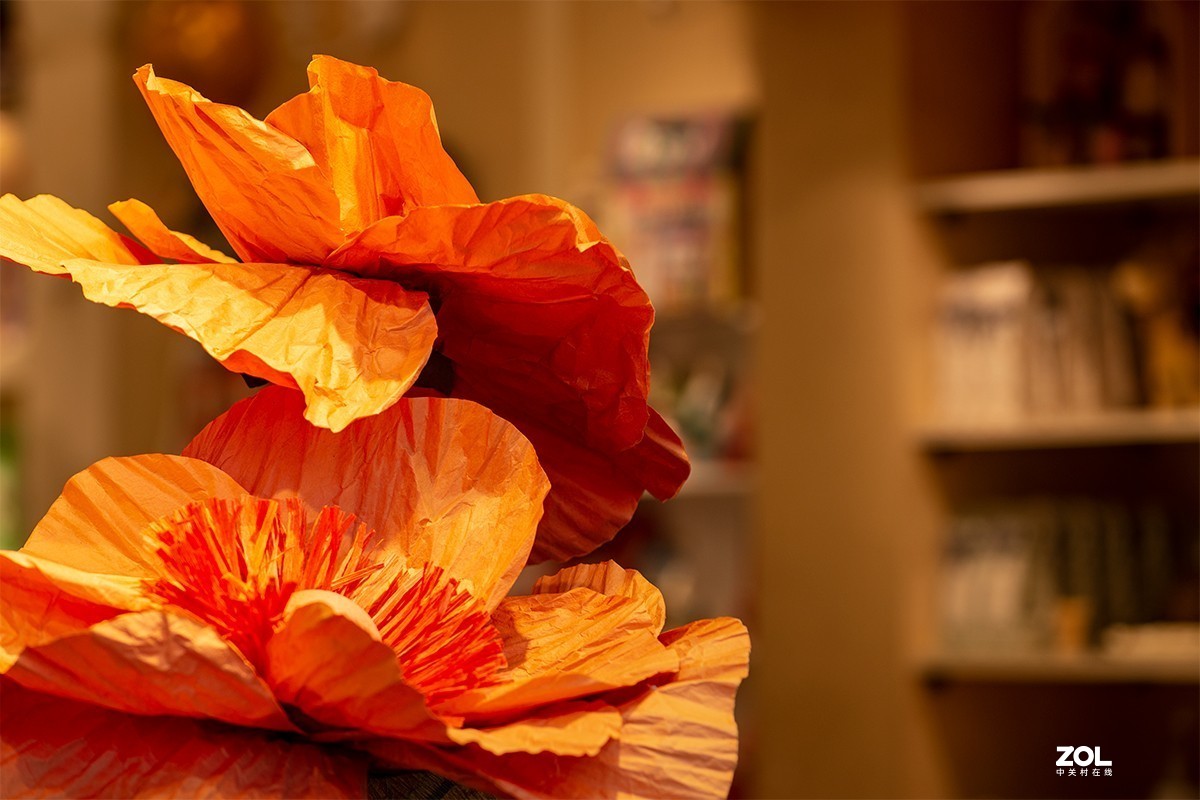 尼康D800E夫子庙扫街，画质的确提升不少