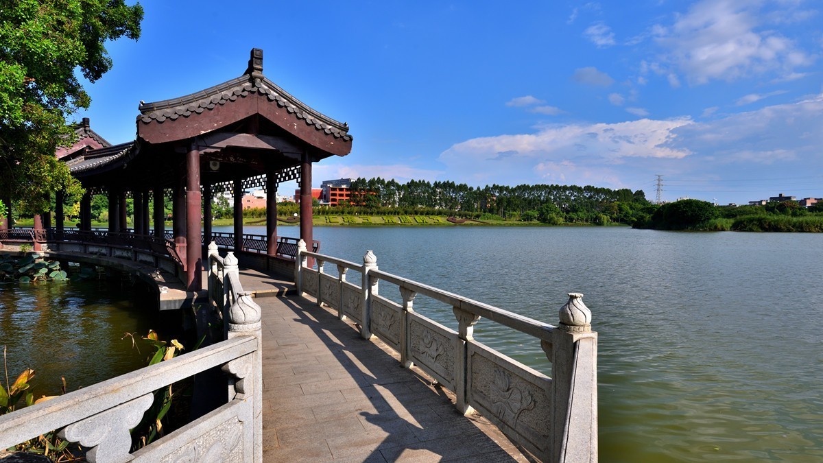 清徐东湖公园的美景图片