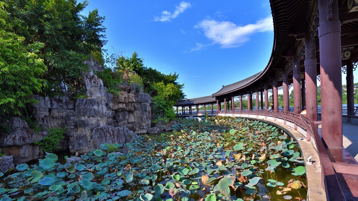 东湖公园随拍1