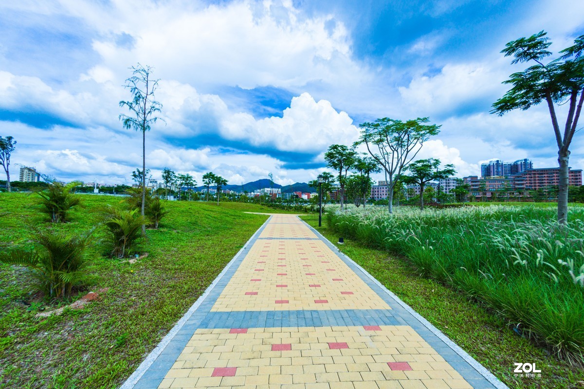 石岩湿地公园---曲径小路