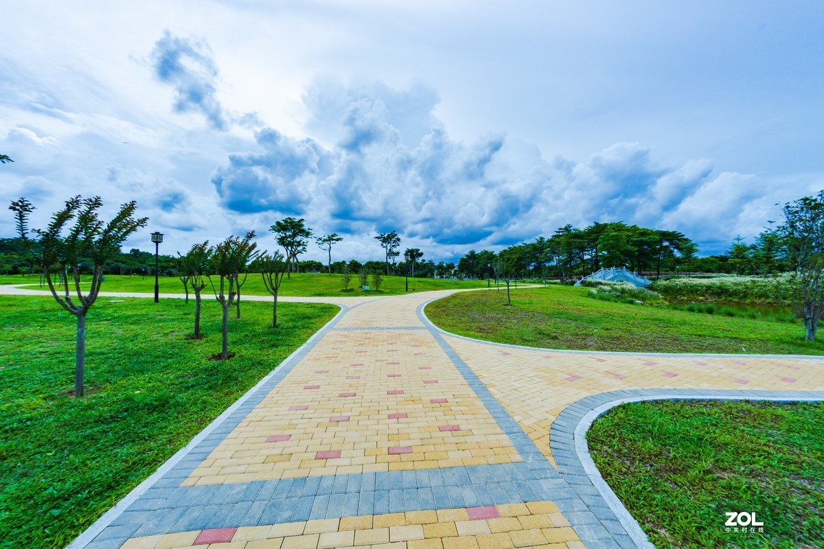 石岩湿地公园---曲径小路