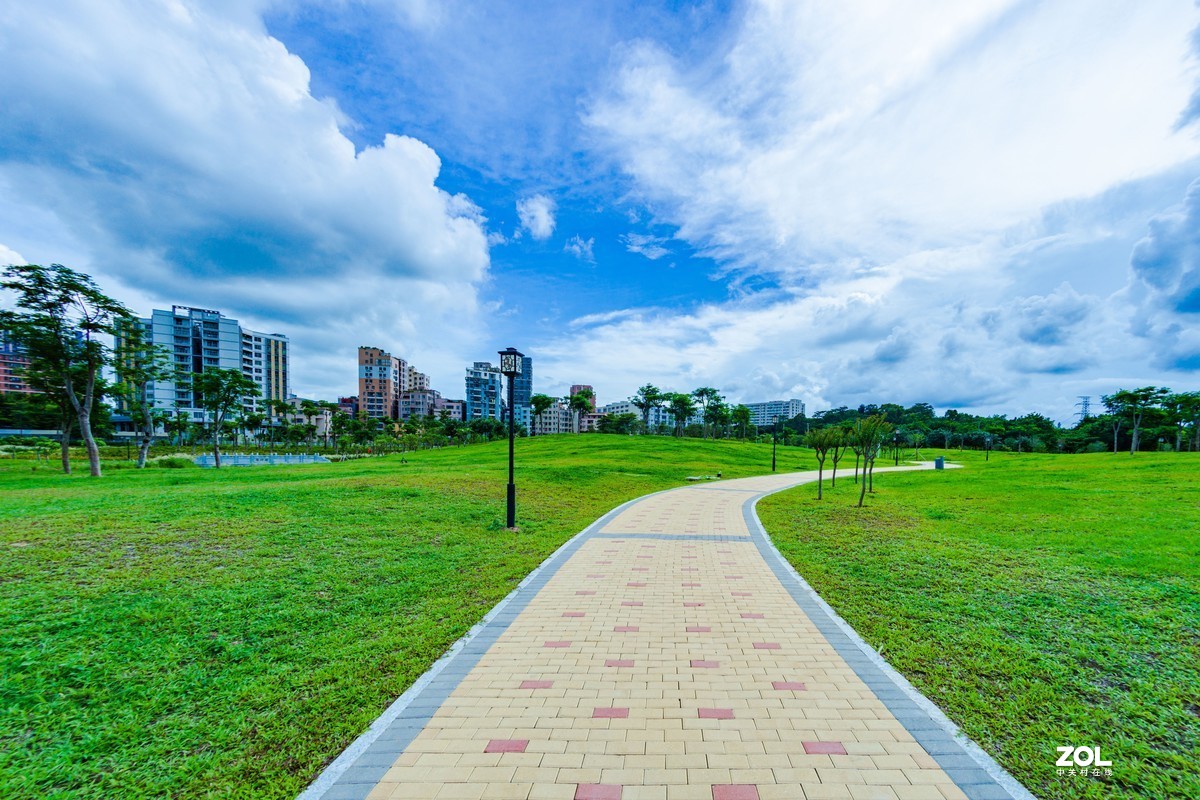 石岩湿地公园---曲径小路
