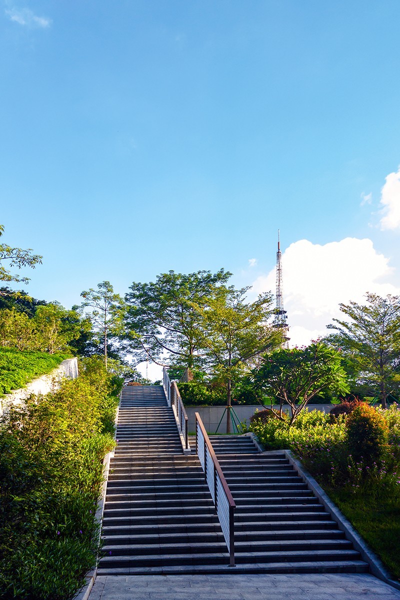 手机摄影早晨广州