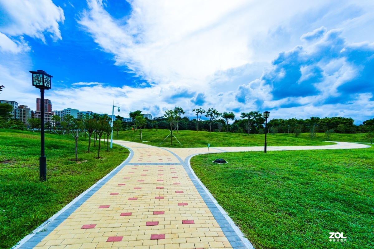 石岩湿地公园---曲径小路